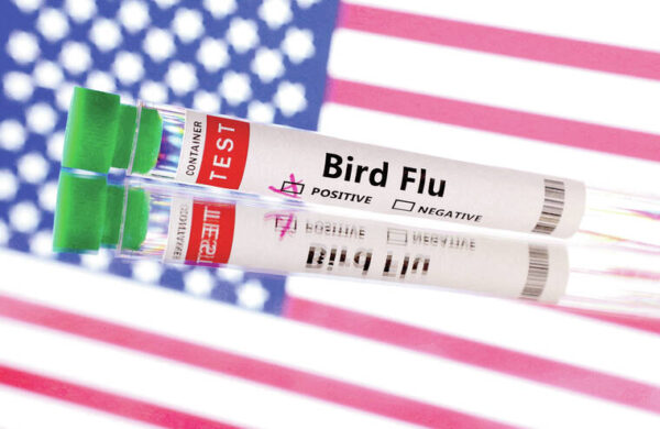 Off the news: Bird flu spread in U.S. calls for caution