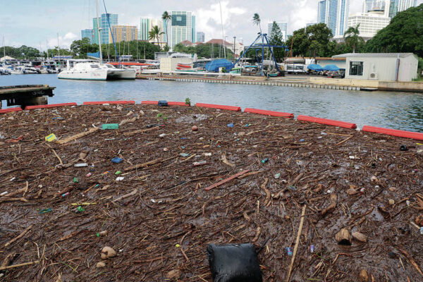 Kokua Line: How did debris clog Ala Wai Canal?