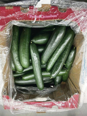 Hawaii included in cucumber recall due to salmonella outbreak