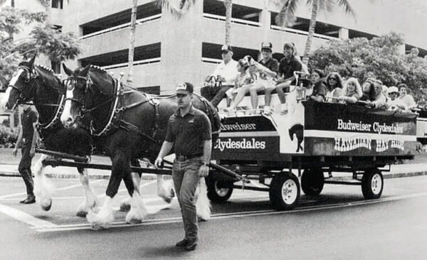 Rearview Mirror: Animal tales in Hawaii provide interesting fodder