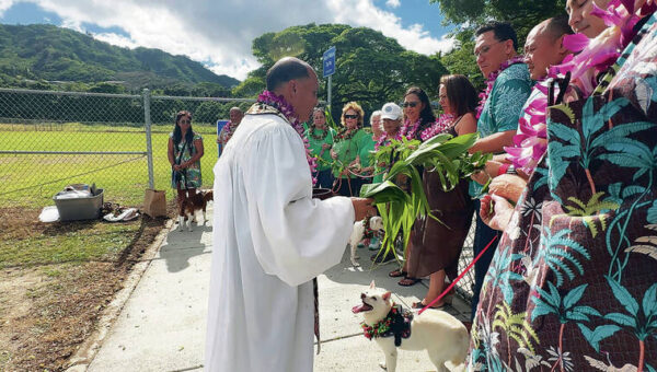 Windward side’s first off-leash dog park opens