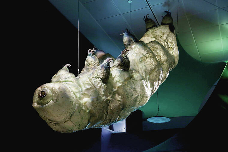 HIROKO MASUIKE/THE NEW YORK TIMES
                                A model of a tardigrade at the American Museum of Natural History in New York. Tardigrades turn out to be masters of molecular repair.